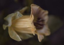 zadzwoń do mnie ;-)