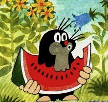 Krecik z dzieciństwa