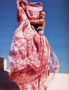 25/ Inez Van Lamsweerde & Vinoodh Matadin