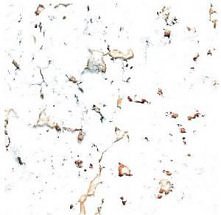 Korek na ścianę :)