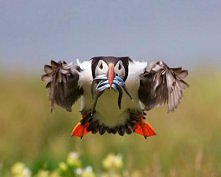 85