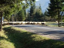 okolice Doliny Kościeliskiej