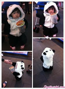 ♥Panda
