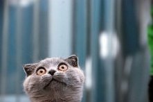 Szczerość spojrzenia