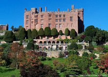 Drzewa są rozbrajające :)