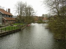 Ribe