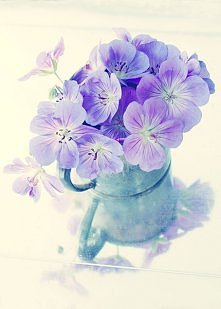 violet vintage cottage