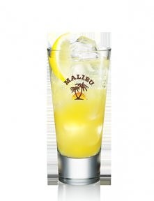Mango Malibu
