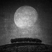 Księżycowa serenada PAKAMERA.PL