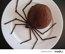 w takiej formie nawet pająk...
