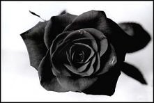 Czerń to piękny kolor