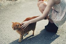 hopes and expectations