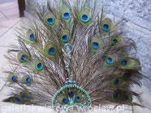 DIADEM Z PAWICH PIOR