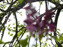 wiosnnnaaaaa .. kocham <3