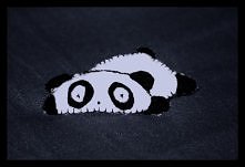 filcowa panda