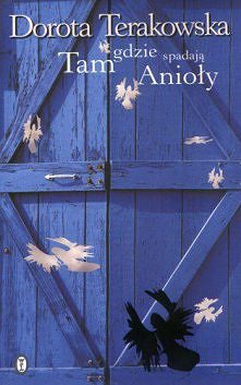 Tam gdzie spadają Anioły