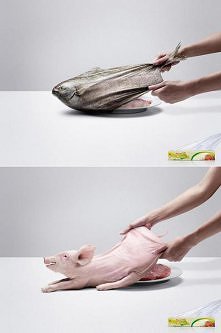 ciekawa folia spożywcza