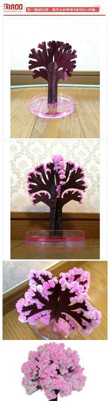 magiczne drzewko :P (octan ...