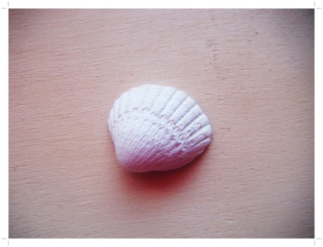 shell