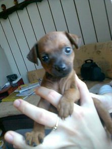 a oto i malutka Kajutka :***