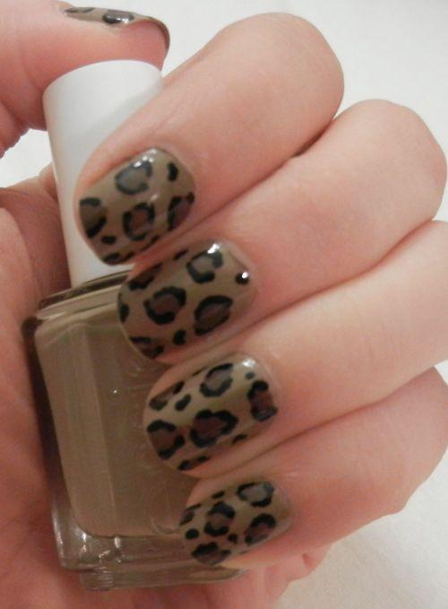 leopard