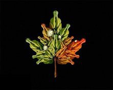 listek ludzkie ciało cd...