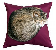 AAa moze to na Dzien Dziecka?