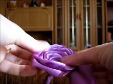 Róża fioletowa średnia