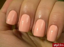 pastelowa brzokwinka