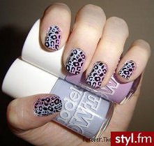 panterka na niebieskim i fi...