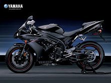 <3 Lewa w Górę LwG