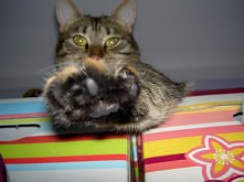 ej nie rób mi zdjęć!!!