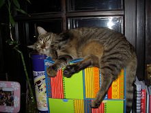 no co?? teraz to moje pudeł...