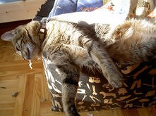 bałagan zrobiony to teraz moge iśc spać