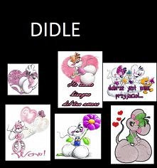 didle <3