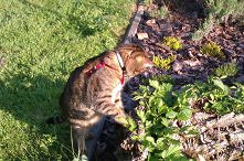 a co tam się rusza??!!