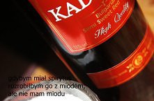 Pomysły na zmysły.