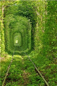 Green Mile Tunnel of Love! ...