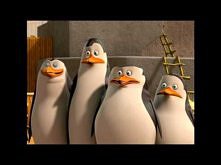 Reakcja Skippera na hymn Polski na Euro 2012