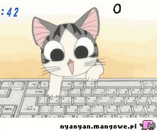 kot xD uzależniające patrzenie na tego kota <3