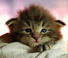 Wróć już - tęsknię!