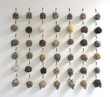 czaszunie z przypraw kuchen...