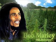 Bob Marley - No Woman no cry