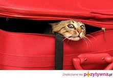 Na URLOP!!! Też chcę na URLOP!!!