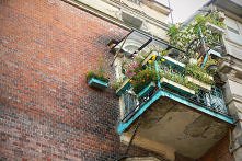 Gdy brakuje miejsca na kwia...