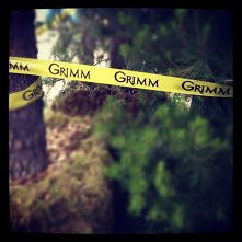 "The Grimm". Bardzo!