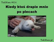 :))