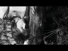 "Heavy In Your Arm...