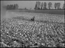 W życiu piękne są tylko chw...