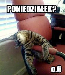 poniedziałkowy brak formy